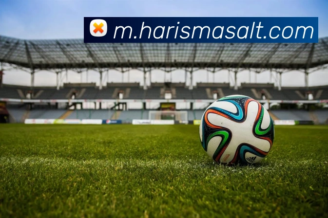 MKSports官方网站入口全站App